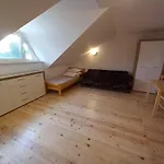 Goscinne Kormoran Homestay szállás *